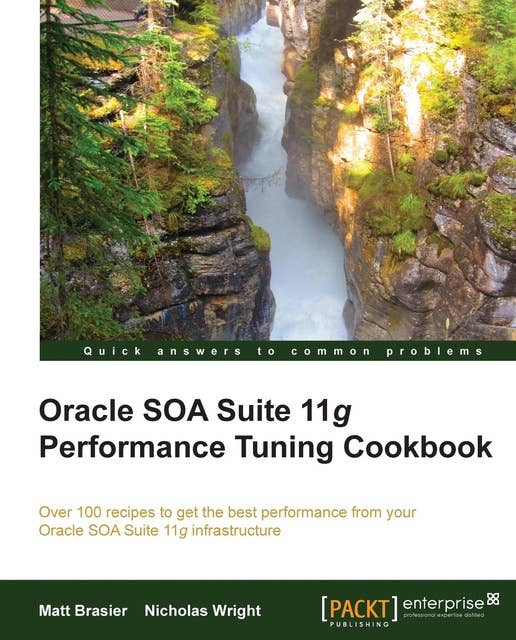Oracle SOA Suite 11g Performance Tuning Cookbook: Featuring over 100 recipes, this handy cookbook will walk you through the different ways to optimize the performance of the Oracle SOA Suite 11g. Essential reading for administrators, developers, and architects.
