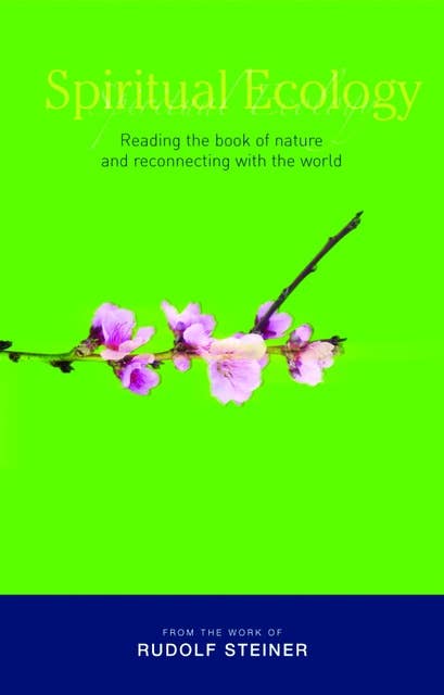 Spiritual Ecology: Reading the Book of Nature and Reconnecting with the World