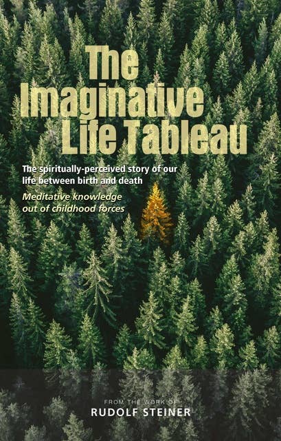 The Imaginative Life Tableau: The spiritually-percieved story of our life between birth and death. Meditative knowledge out of childhood forces.