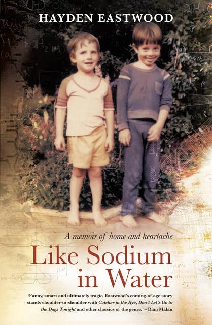 Like Sodium in Water: A memoir of home and heartache