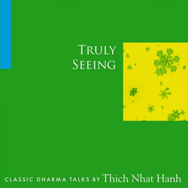 Truly Seeing