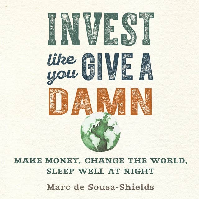 Invest Like You Give a Damn: Make Money, Change the World, Sleep Well at Night