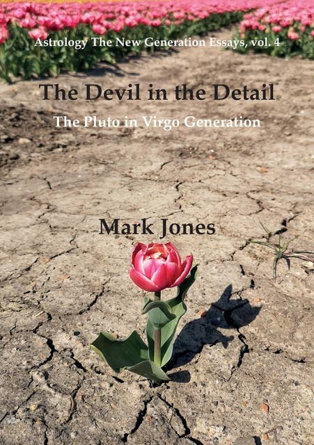 The Devil in the Detail: The Pluto in Virgo Generation