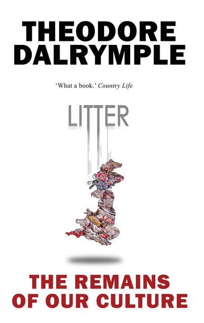 Litter: The Remains of Our Culture