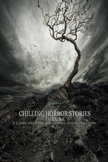 Cover for Chilling Horror Stories: Volume 2