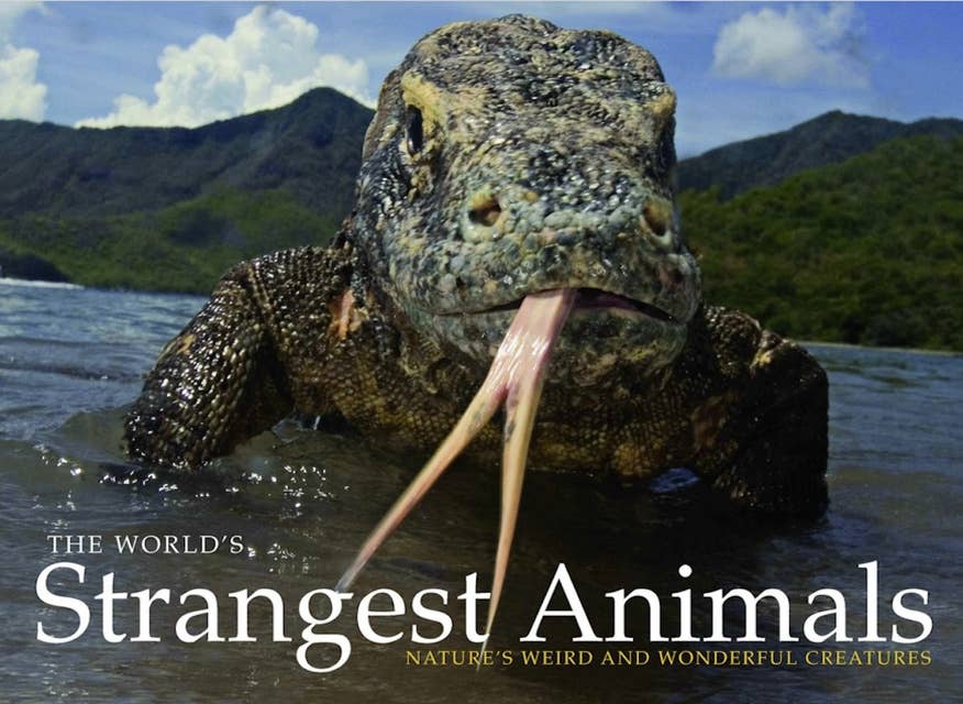 The World's Strangest Animals