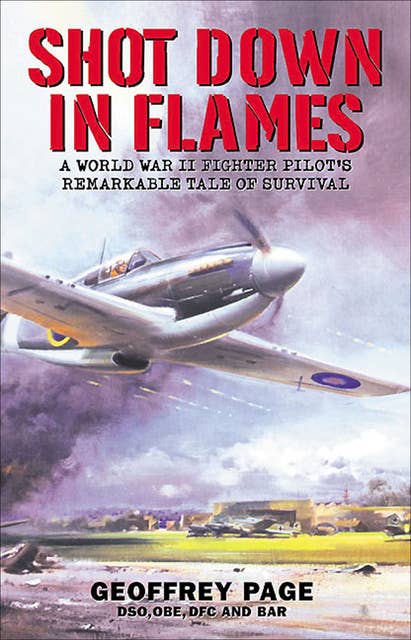 Shot Down in Flames: A World War II Fighter Pilot's Remarkable Tale of Survival