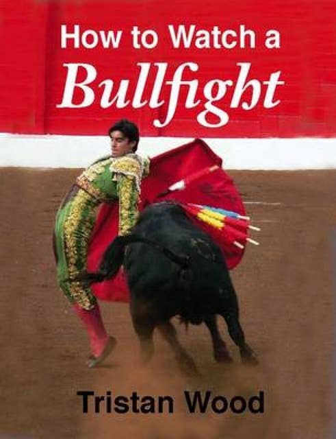 How to Watch a Bullfight