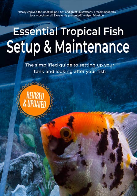 Essential Tropical Fish: Setup & Maintenance Guide