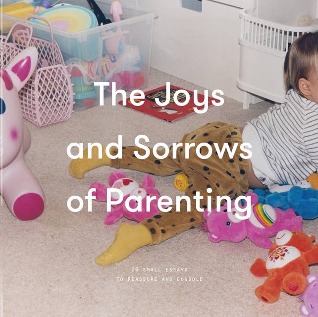 The Joys and Sorrows of Parenting: 26 Essays to Reassure and Console