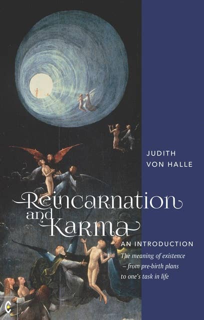 Reincarnation and Karma, An Introduction: The meaning of existence – from pre-birth plans to one's task in life
