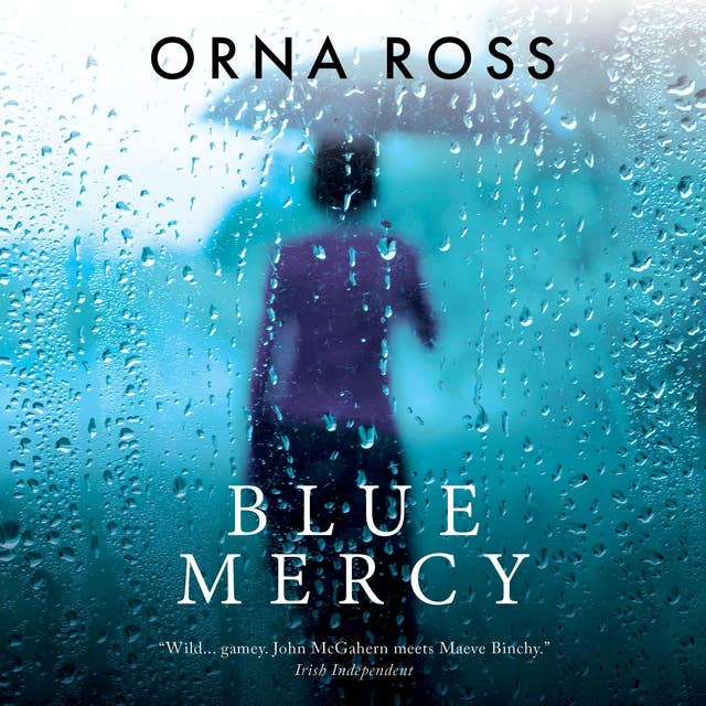 Blue Mercy: A Heartbreaking, Page-Turning Irish Family Drama