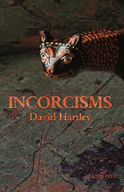 Incorcisms: Strange Short Stories