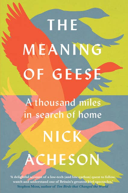 The Meaning of Geese: A Thousand Miles in Search of Home