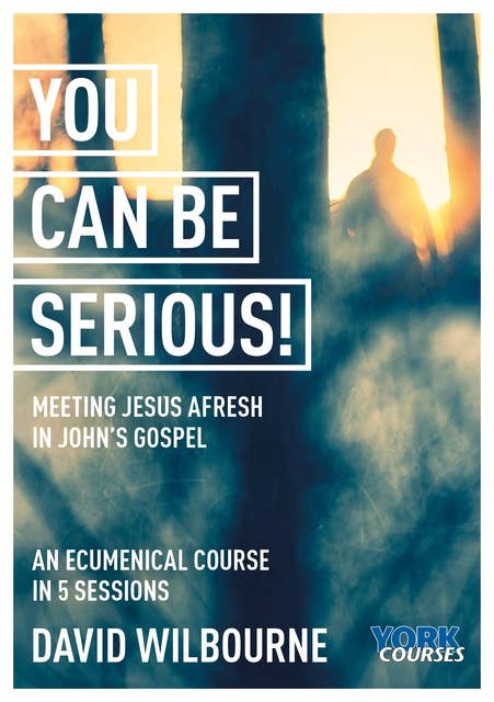 You Can Be Serious!: Meeting Jesus afresh in John's Gospel