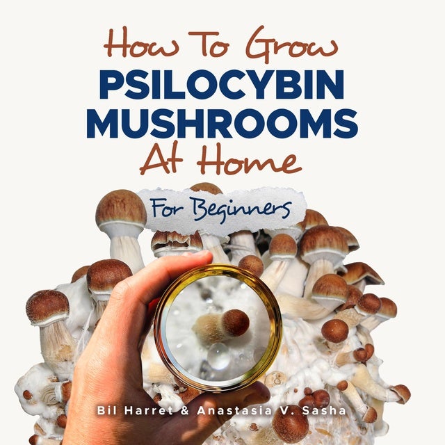 How to Grow Psilocybin Mushrooms at Home for Beginners: 5 Comprehensive