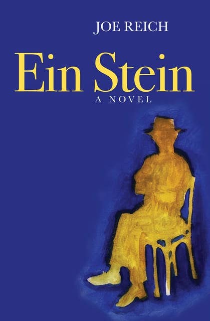 Ein Stein: A Novel