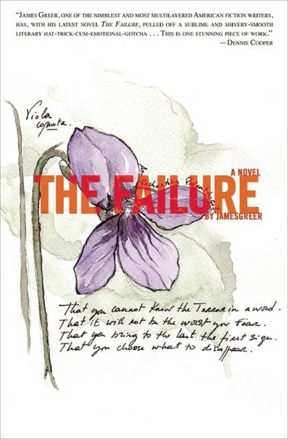 The Failure: A Novel