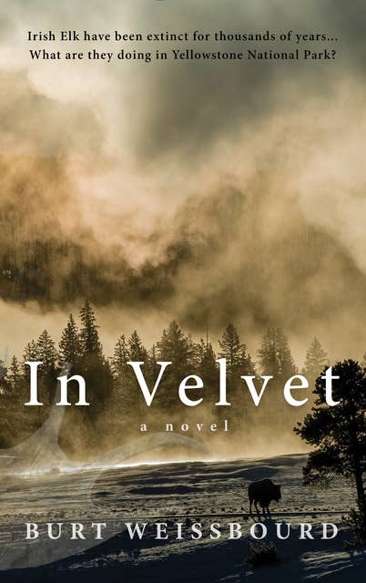 In Velvet: A Novel