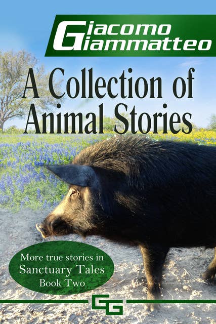 A Collection of Animal Stories: Sanctuary Tales, Volume II
