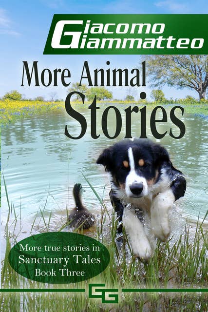 More Animal Stories: Sanctuary Tales, Volume III