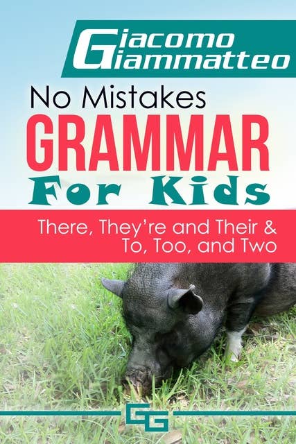 No Mistakes Grammar for Kids, Volume V: No Mistakes Grammar for Kids, Volume V, "There, They're, Their," and "To, Too, and Two"