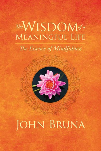 The Wisdom of a Meaningful Life: The Essence of Mindfulness