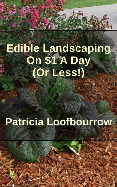 Edible Landscaping On $1 A Day (Or Less)