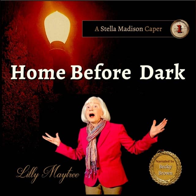 Home Before Dark: Stella Madison Caper #1