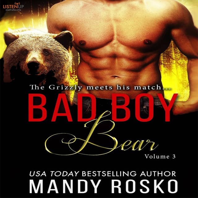 Bad Boy Bear Vol. 3