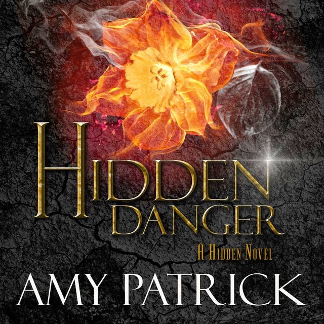 Hidden Danger- Book 5 of the Hidden Saga