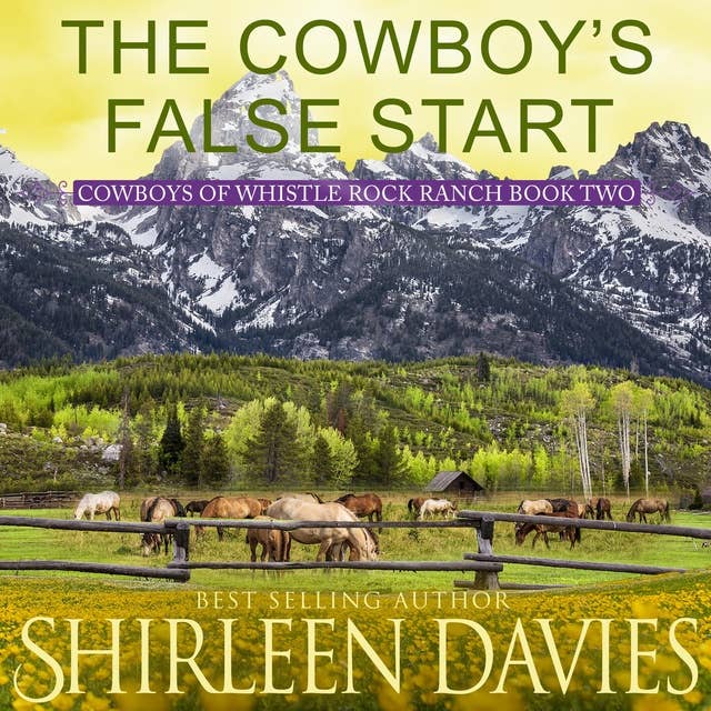The Cowboy's False Start: Clean as a Whistle Second Chance Cowboy Romance
