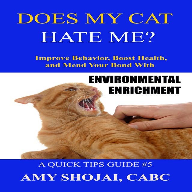 Does My Cat Hate Me: Improve Behavior, Boost Health, and Mend Your Bond with Environmental Enrichment
