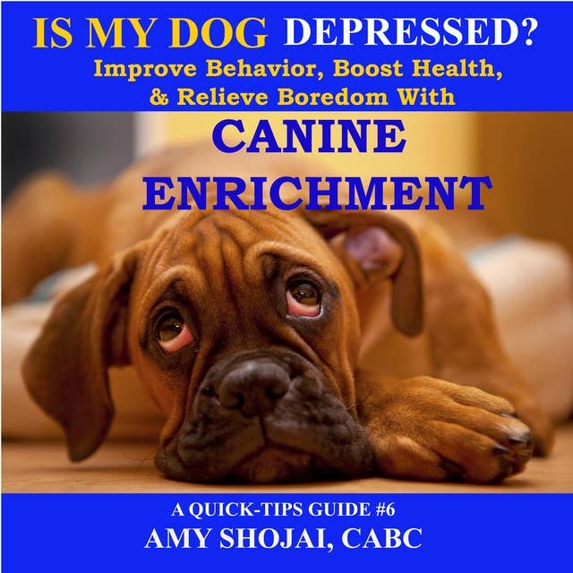 Is My Dog Depressed?: Improve Behavior, Boost Health, and Relieve Boredom with Canine Enrichment