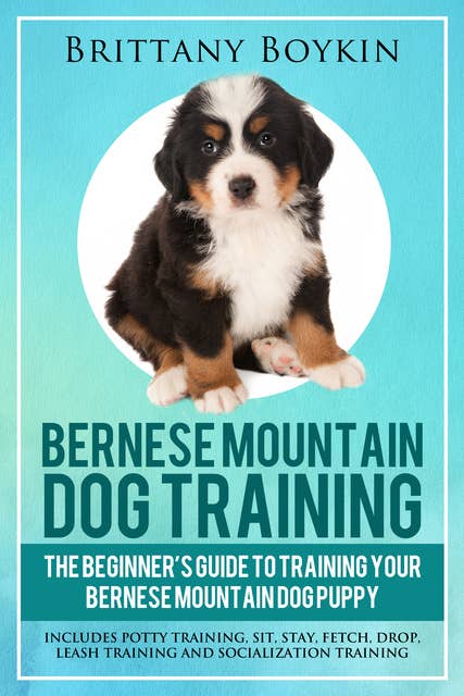 Bernese Mountain Dog Training: The Beginner’s Guide to Training Your Bernese Mountain Dog Puppy: Includes Potty Training, Sit, Stay, Fetch, Drop, Leash Training and Socialization Training