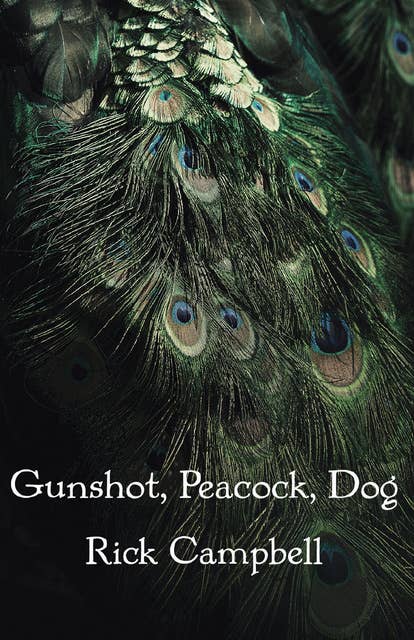 Gunshot, Peacock, Dog