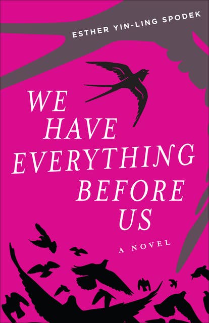 We Have Everything Before Us: A Novel