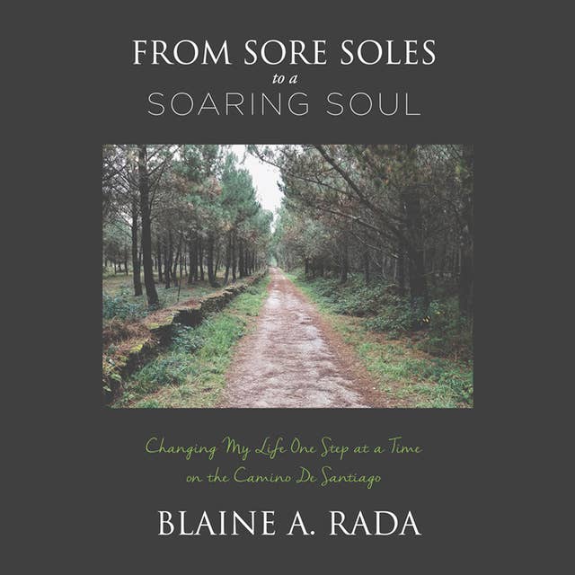 From Sore Soles to a Soaring Soul:Changing My Life One Step at a Time on the Camino Santiago