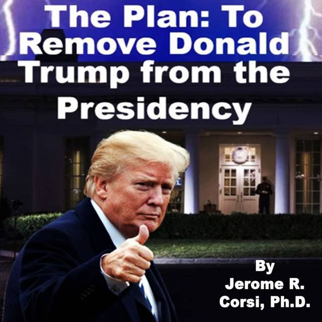 The Plan: To Remove Donald Trump from the Presidency