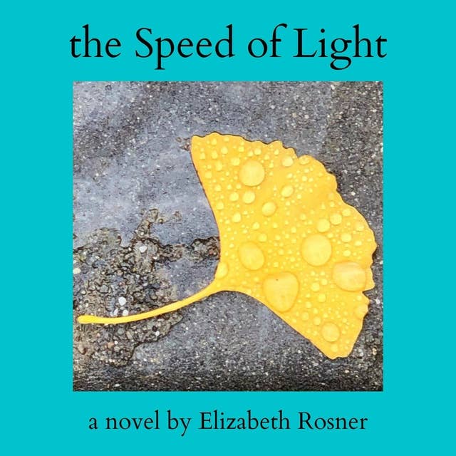 Cover for The Speed of Light
