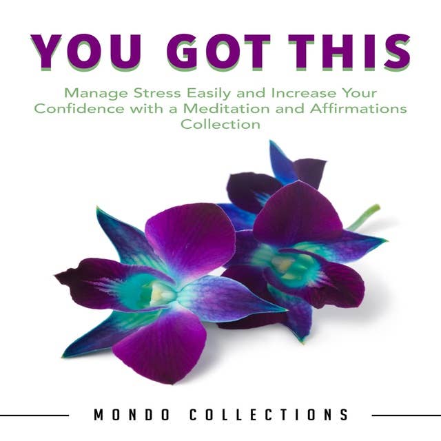 You Got This: Manage Stress Easily and Increase Your Confidence with a Meditation and Affirmations Collection
