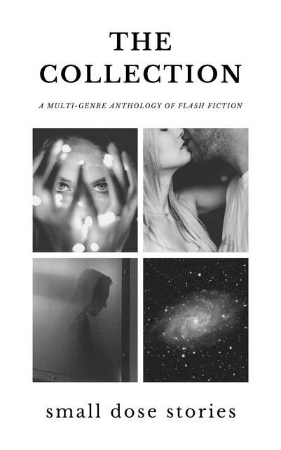 The Collection: A Multi-Genre Anthology of Flash Fiction