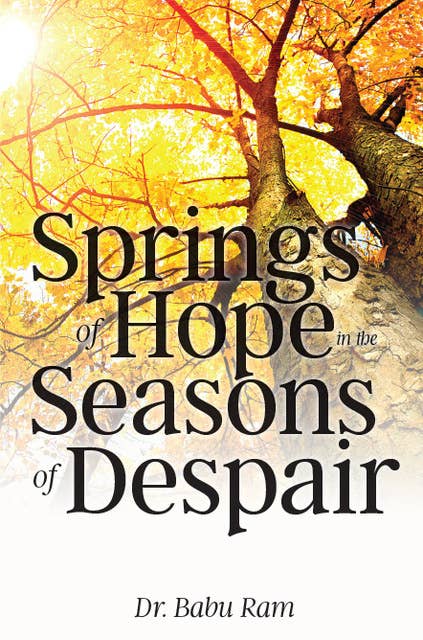 Springs of Hope in the Seasons of Despair
