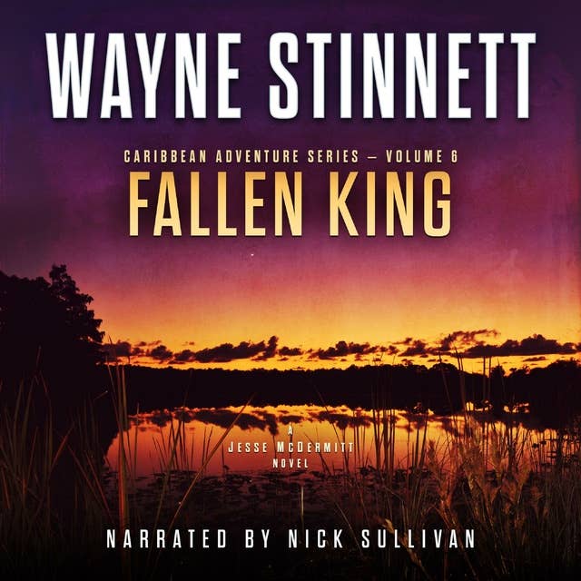 Fallen King: A Jesse McDermitt Novel