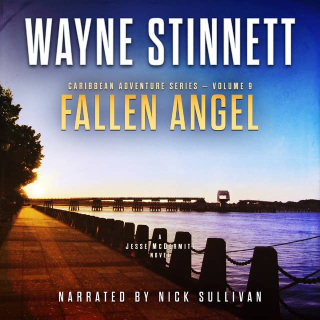 Fallen Angel: A Jesse McDermitt Novel