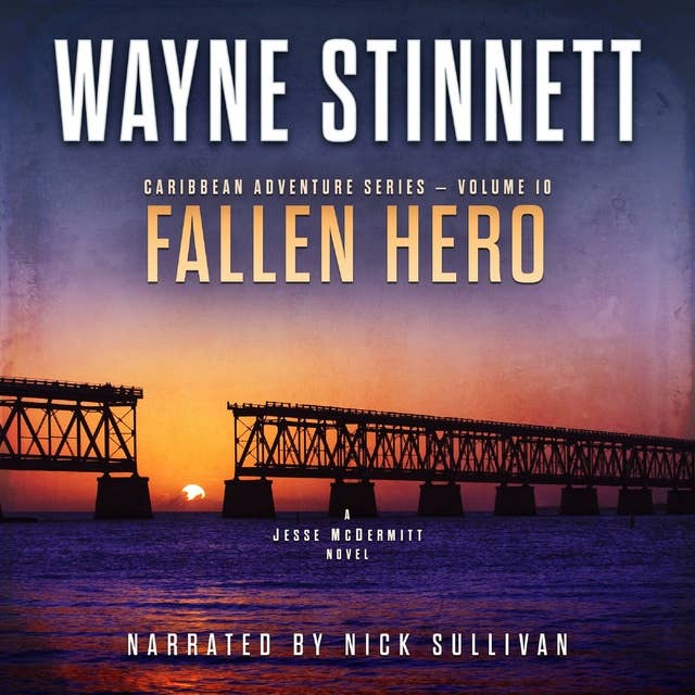 Fallen Hero: A Jesse McDermitt Novel