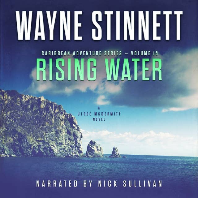Rising Water: A Jesse McDermitt Novel