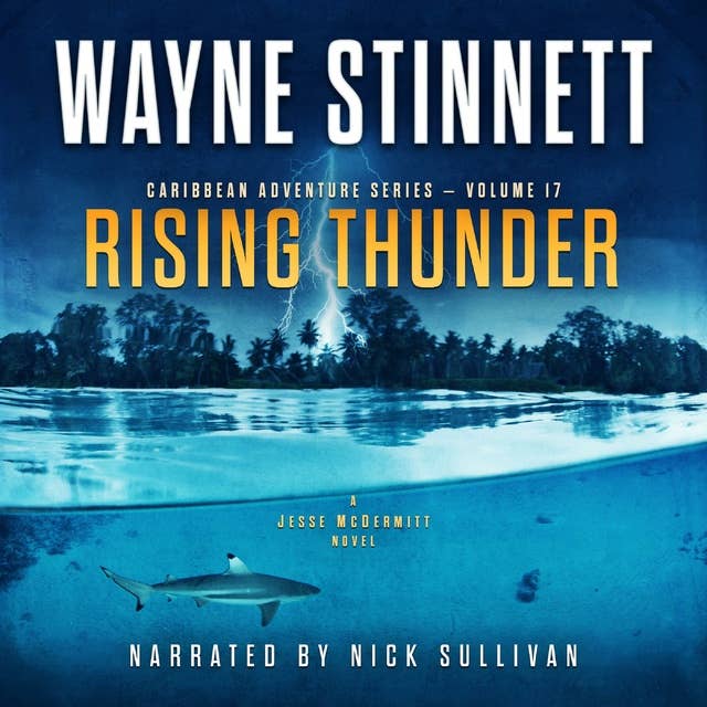 Rising Thunder: A Jesse McDermitt Novel