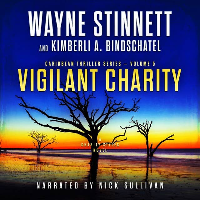Vigilant Charity: A Charity Styles Novel