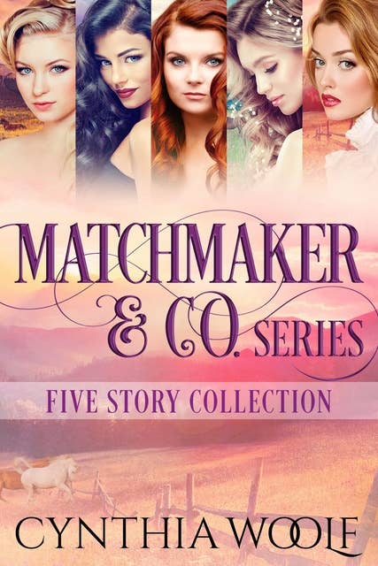 Matchmaker & Co. Five Story Collection
